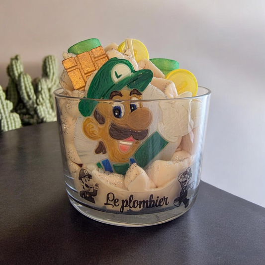le plombier