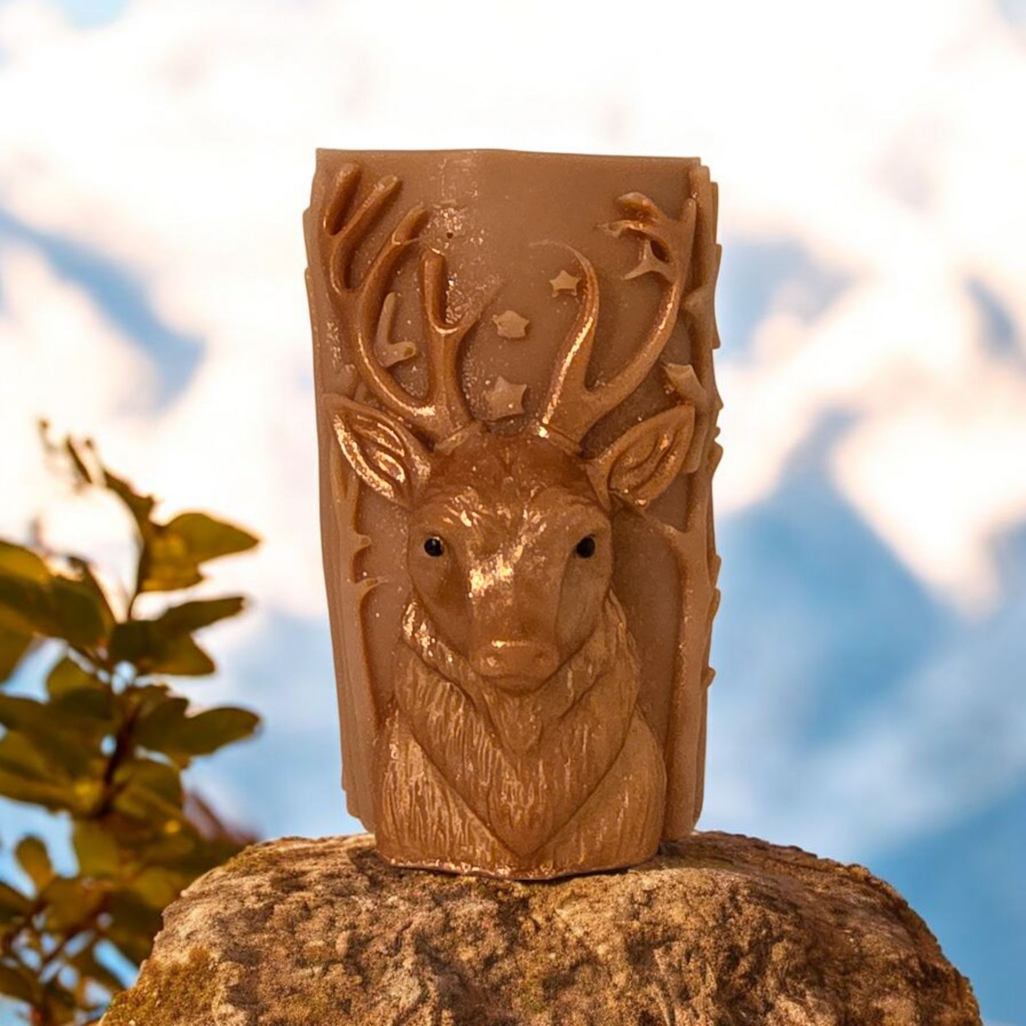 Le prince des forêts